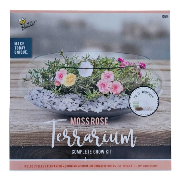 Buzzy Moss Rose Terrarium - NWT - Picture 1 of 2